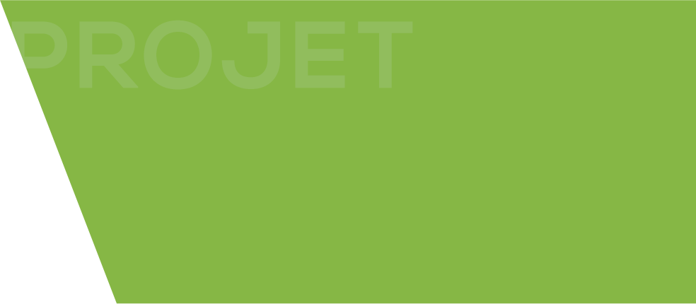 fond-vert-projet